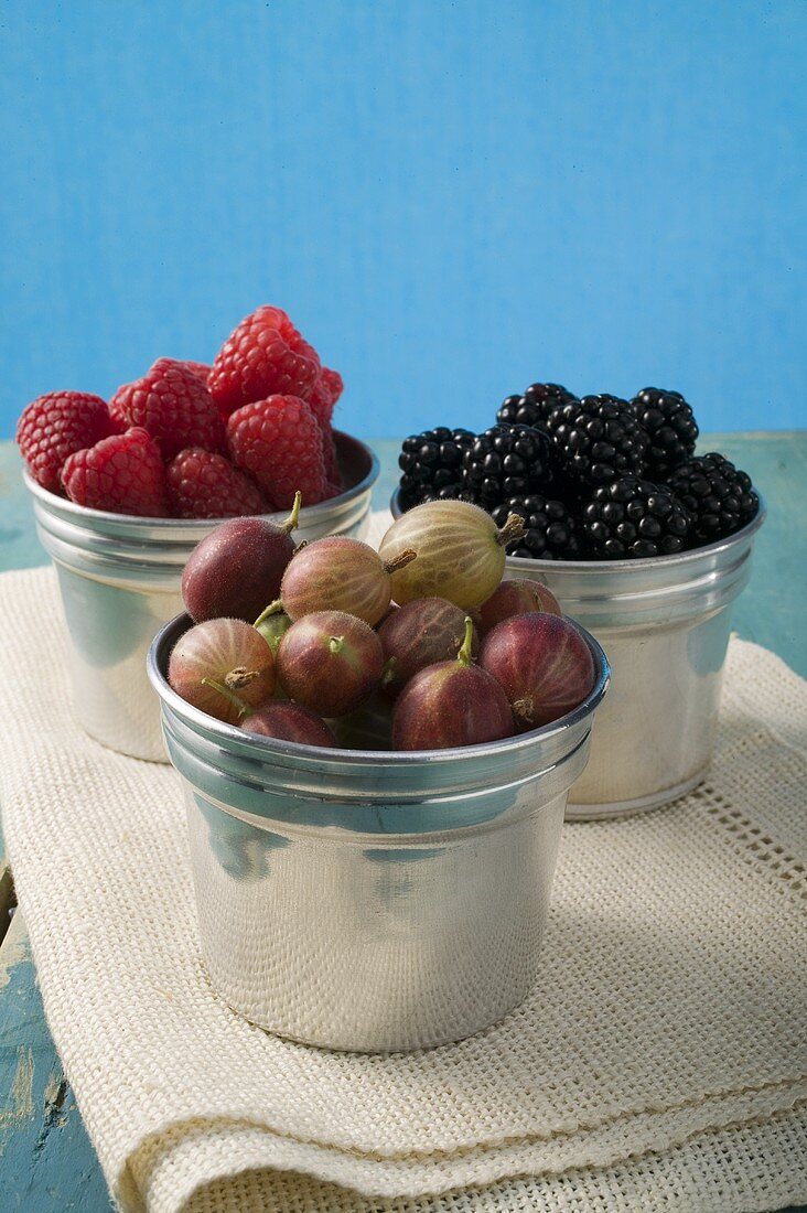 Gooseberries, raspberries and blackberries