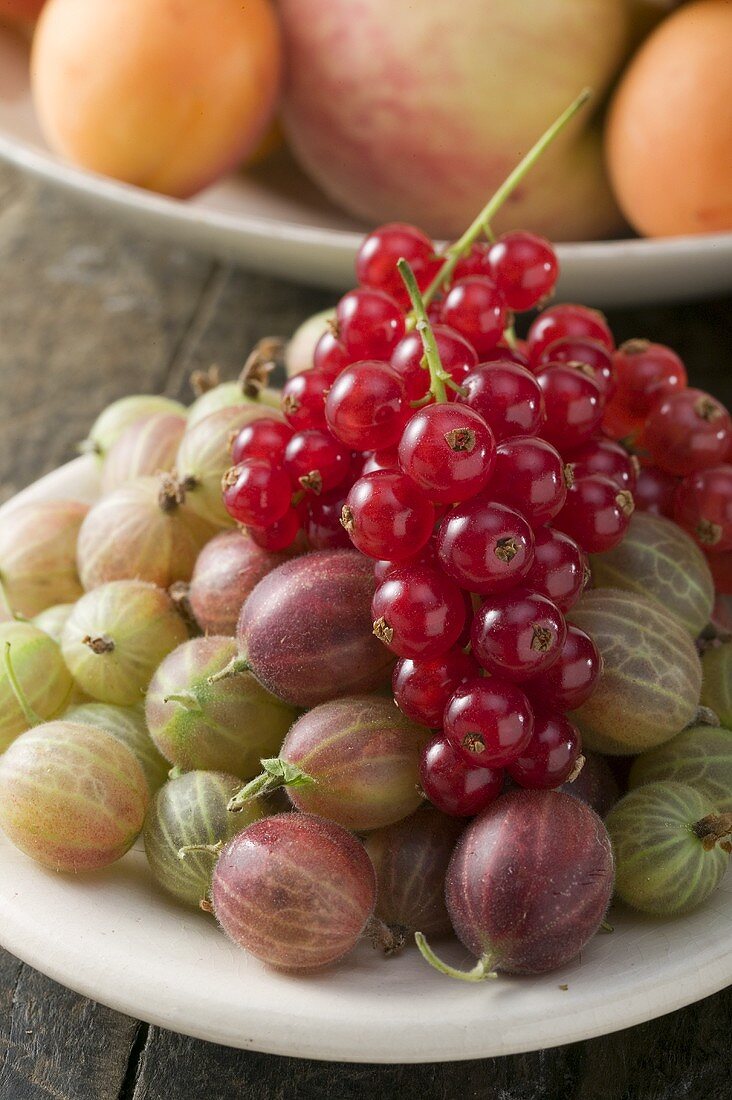 Gooseberries and redcurrants