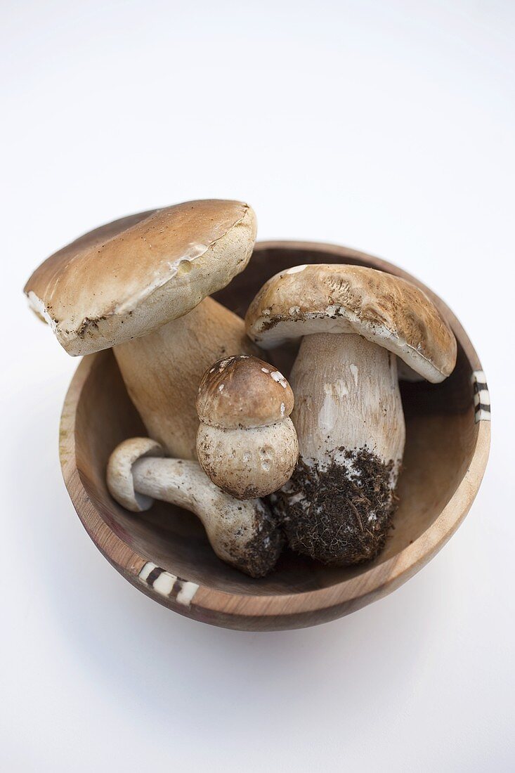 Four ceps in a wooden bowl