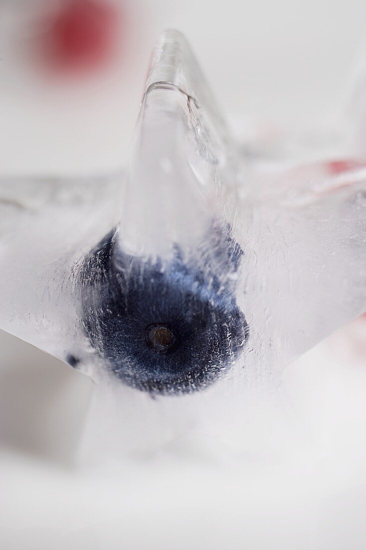 A blueberry ice cube