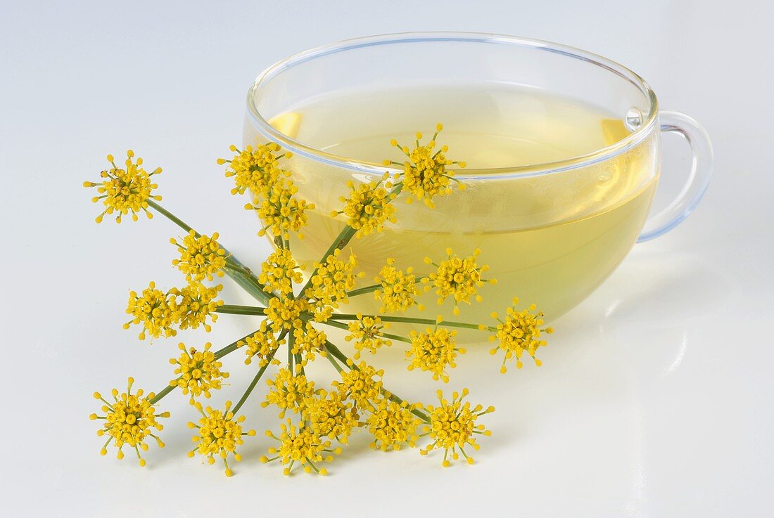 A glass cup of fennel tea with fennel flower