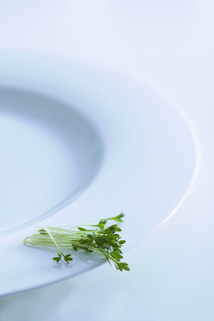 Fresh cress on a plate