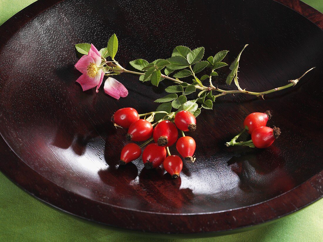 A sprig of rose hips in a wooden bowl