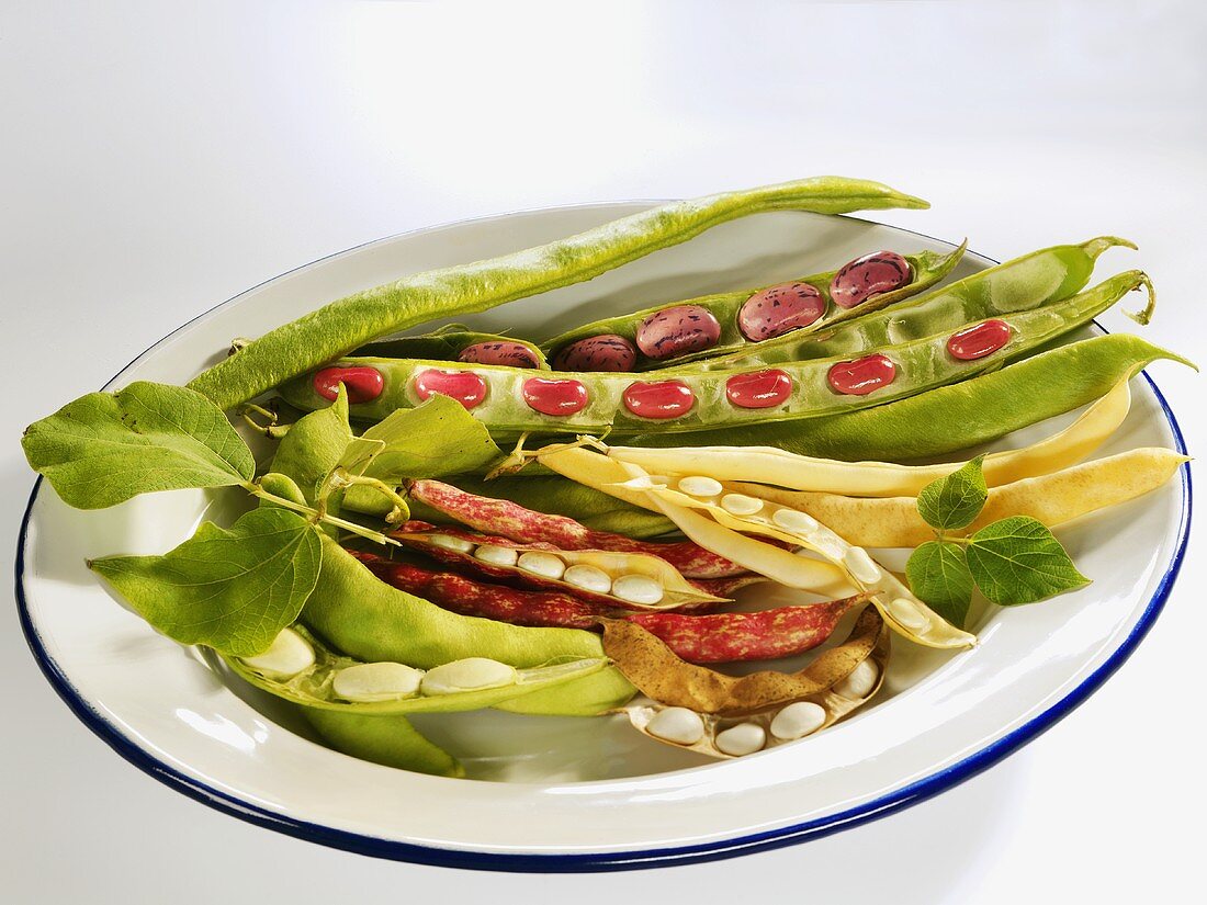 Mixed beans with pods on a plate