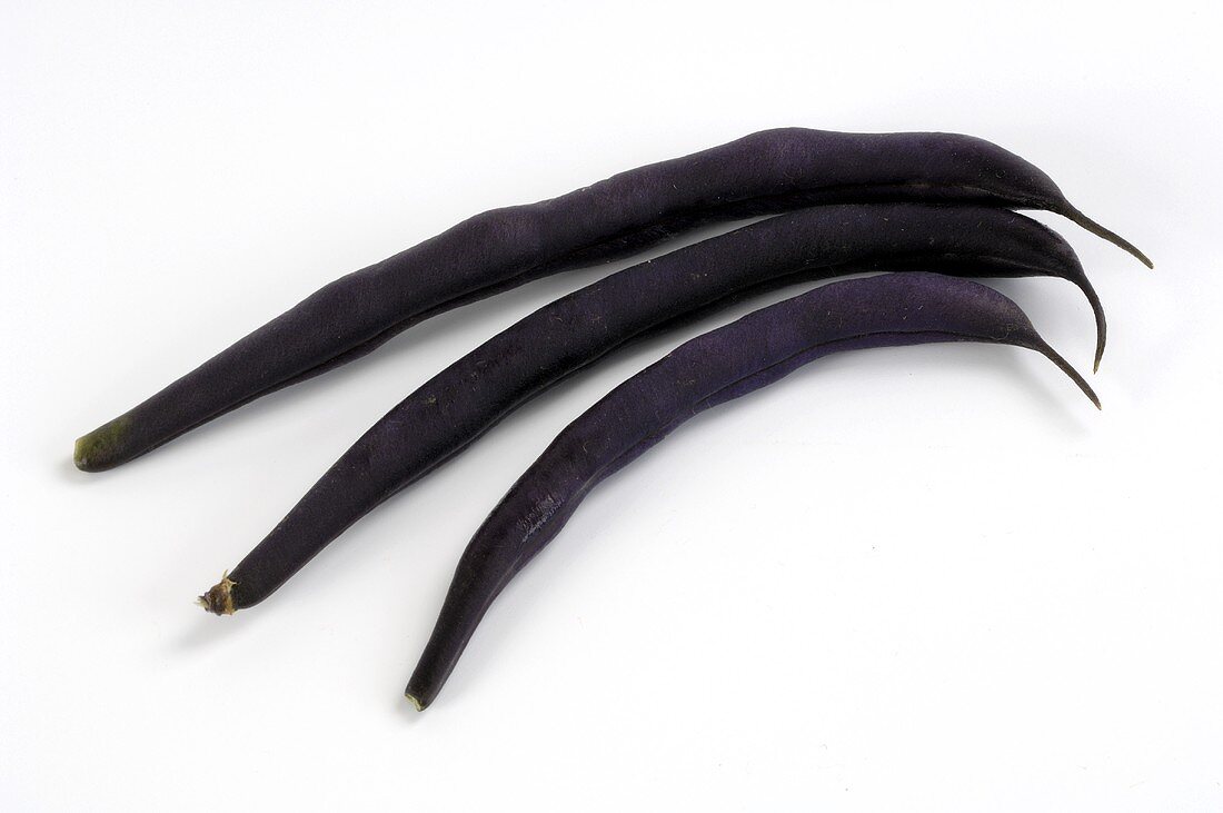 Purple-podded French beans