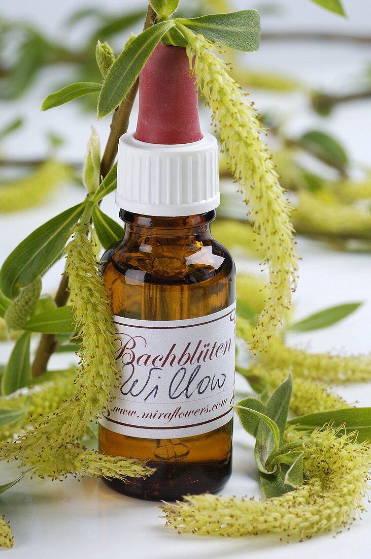 Bach Flowers tincture: Willow