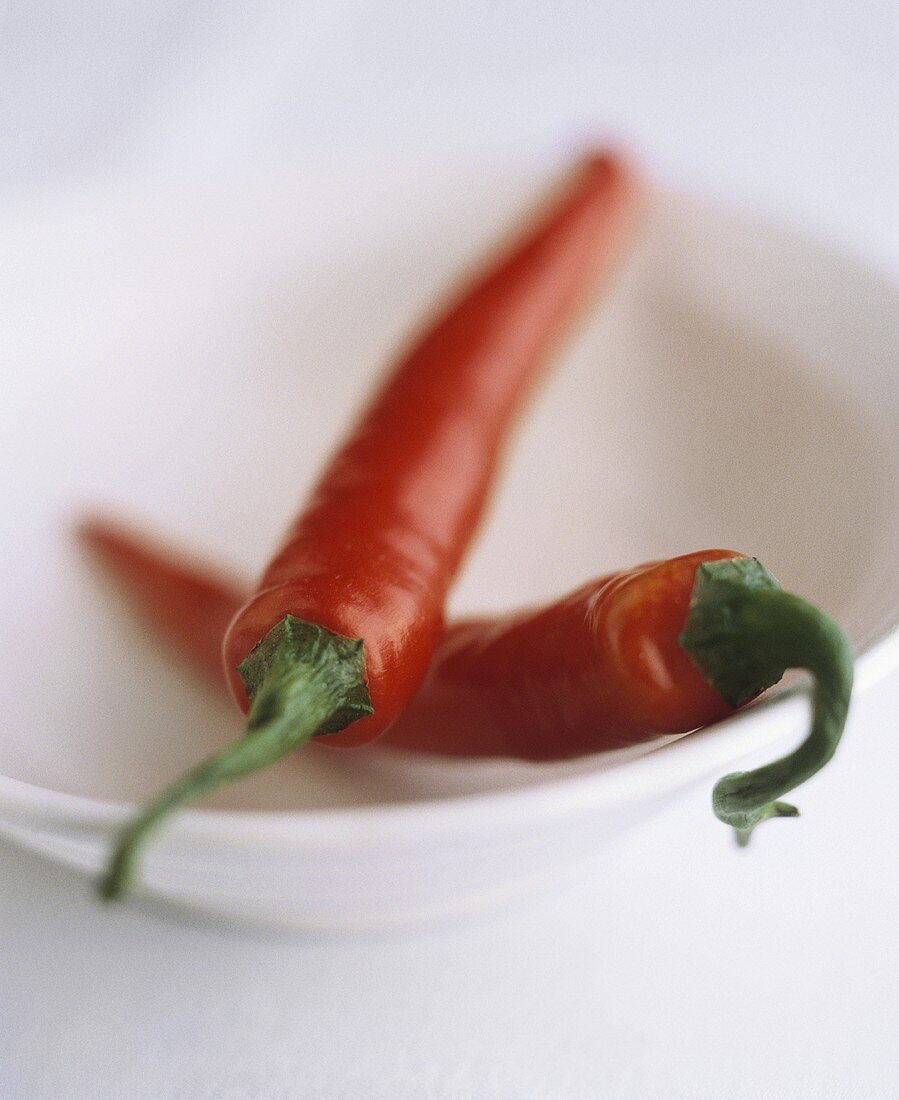 Two red chillies