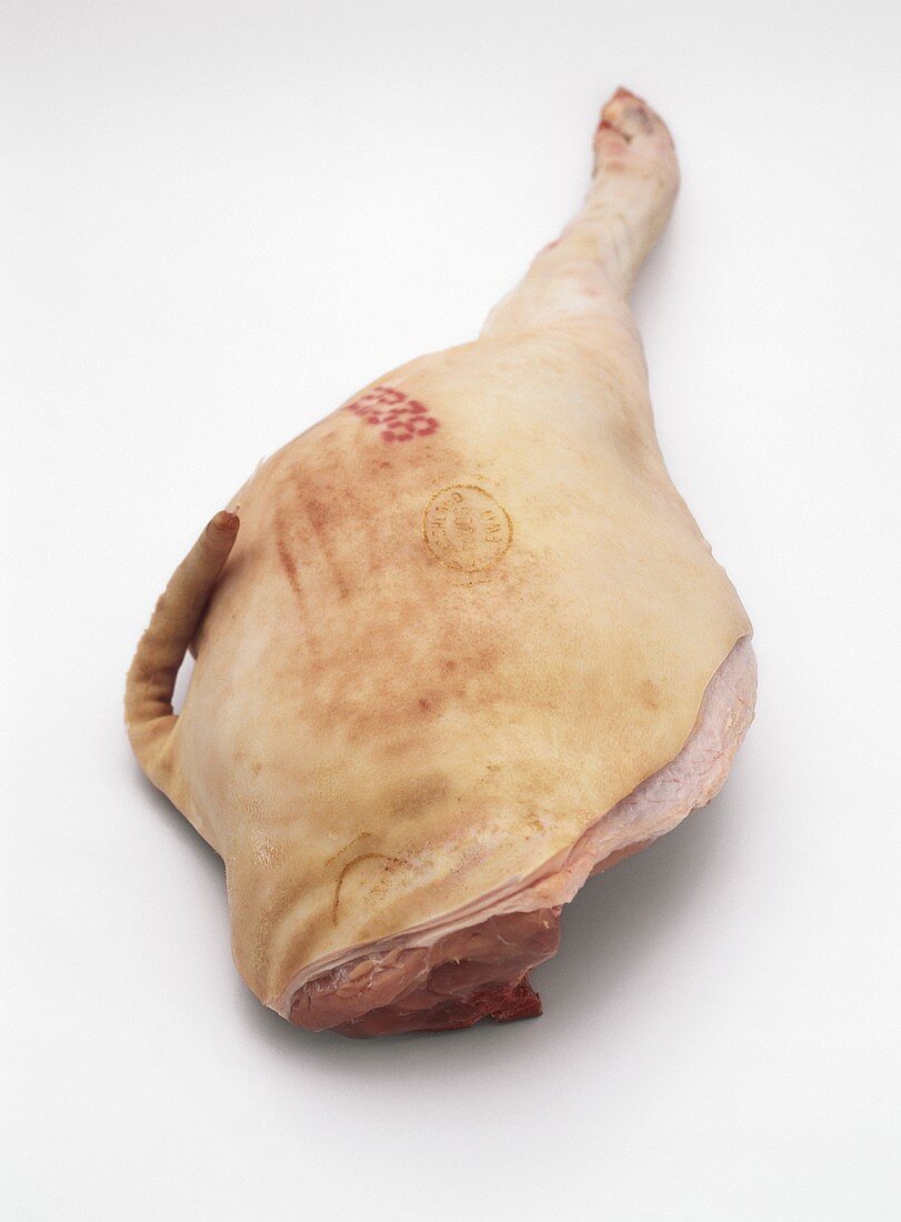 Leg of suckling pig with skin and bone