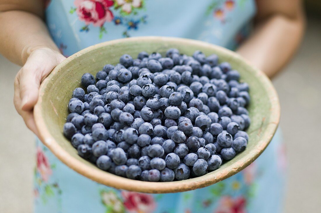 Hands holding a bowl of fresh blueberries