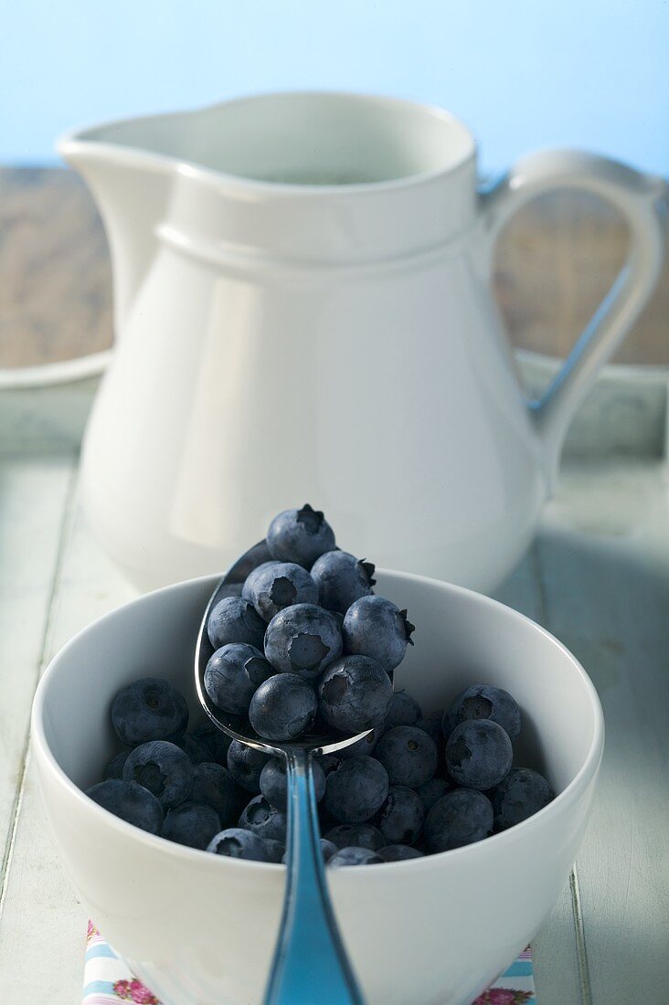 Fresh blueberries in a bowl and on a spoon