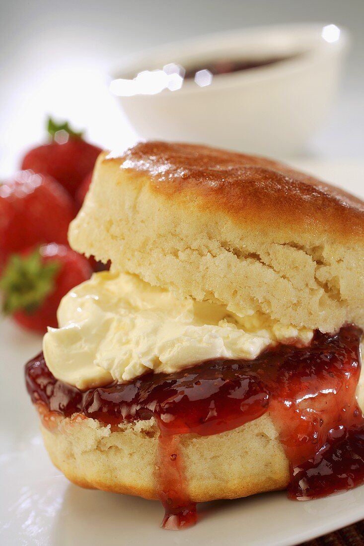 Scone (Teegebäck, England) mit Marmelade und Clotted Cream