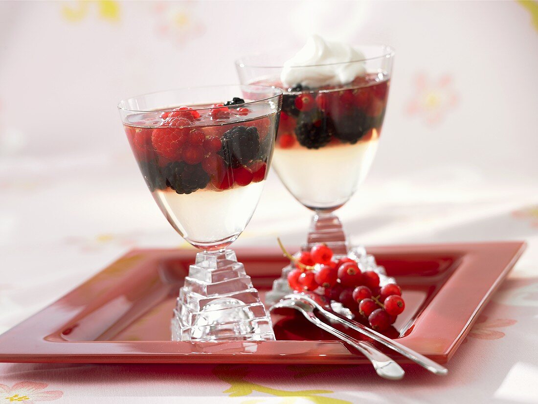 Champagne jelly with mixed berries