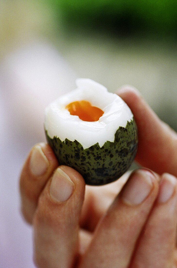 A boiled quail's egg