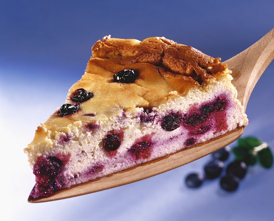 A piece of quark cake with blueberries
