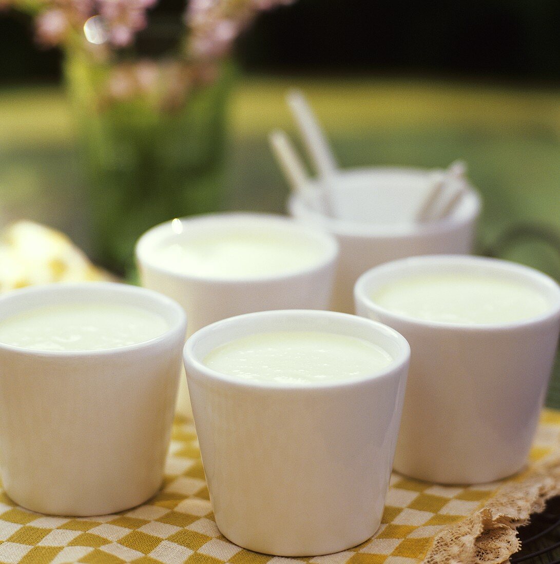 Chilled apple soup