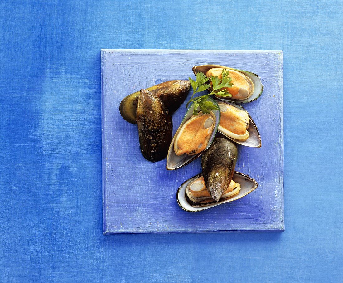 Cooked mussels on a platter