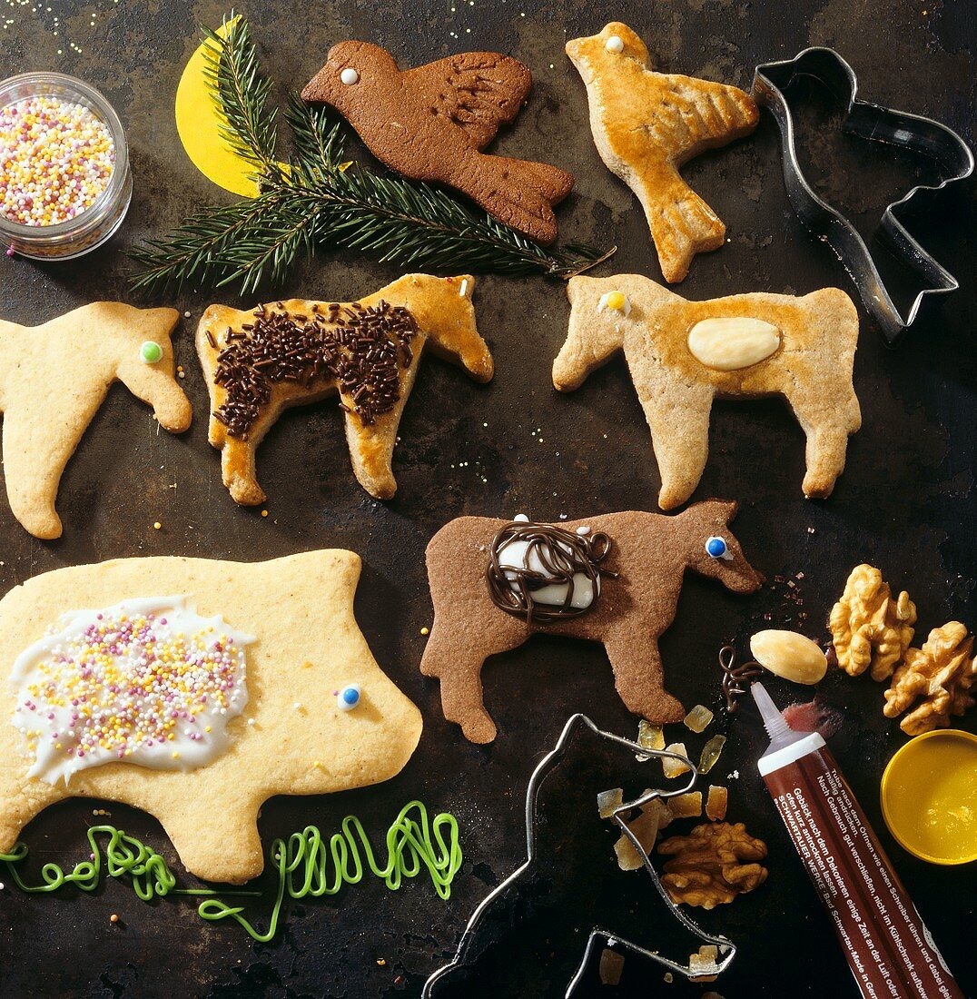 Animal biscuits for children