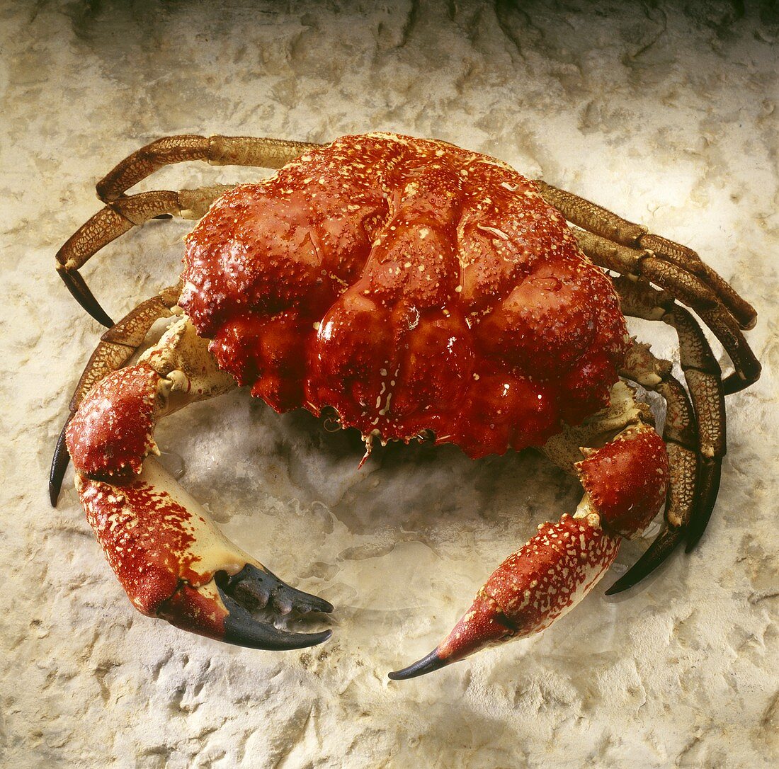 A crab