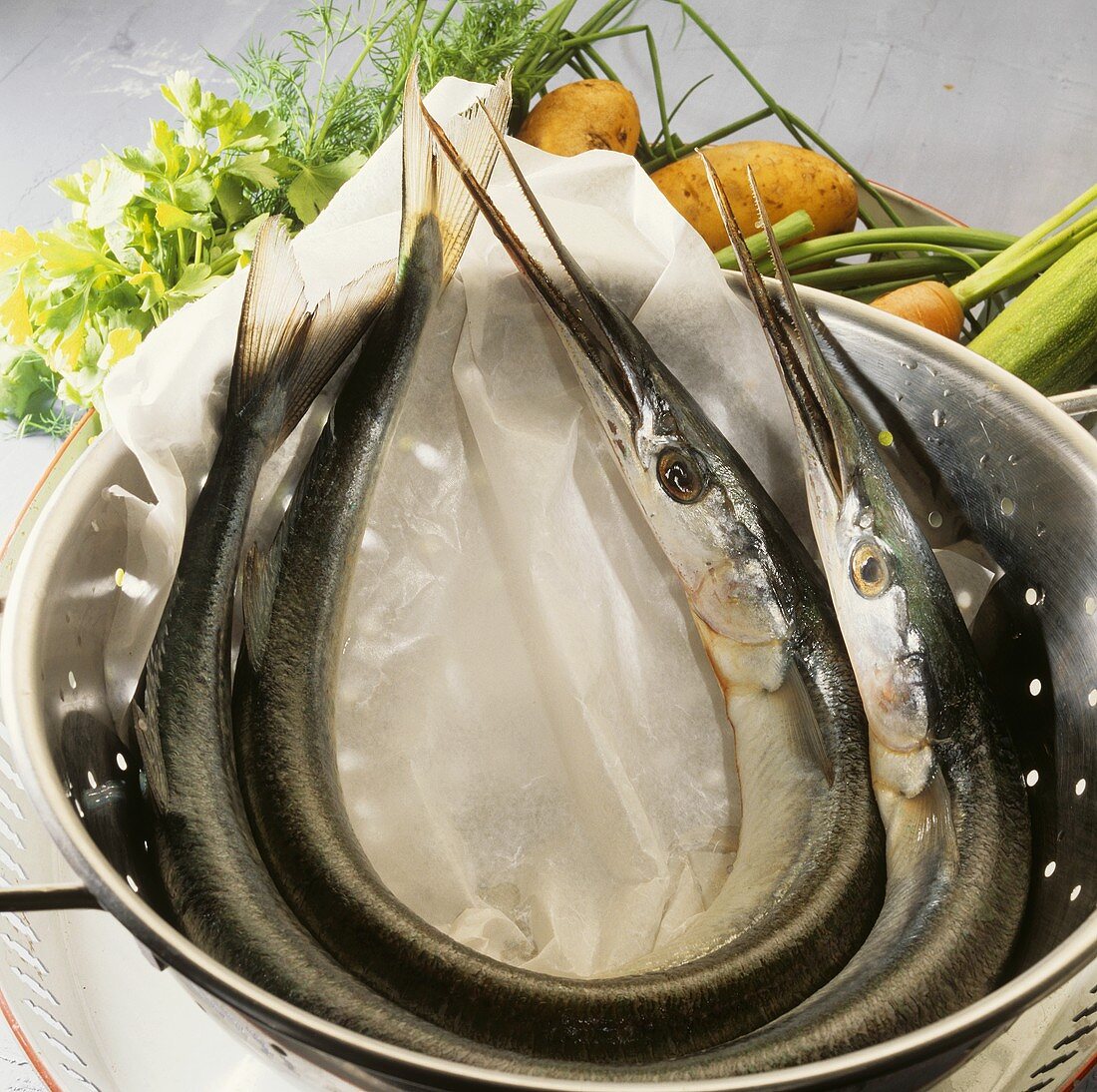Two needlefish in a colander