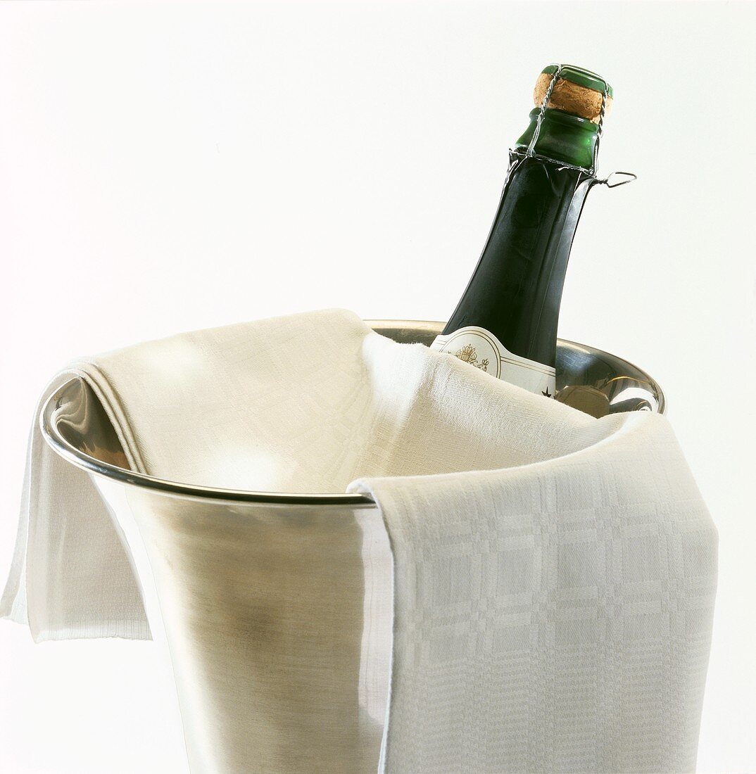 A bottle of Prosecco in champagne cooler