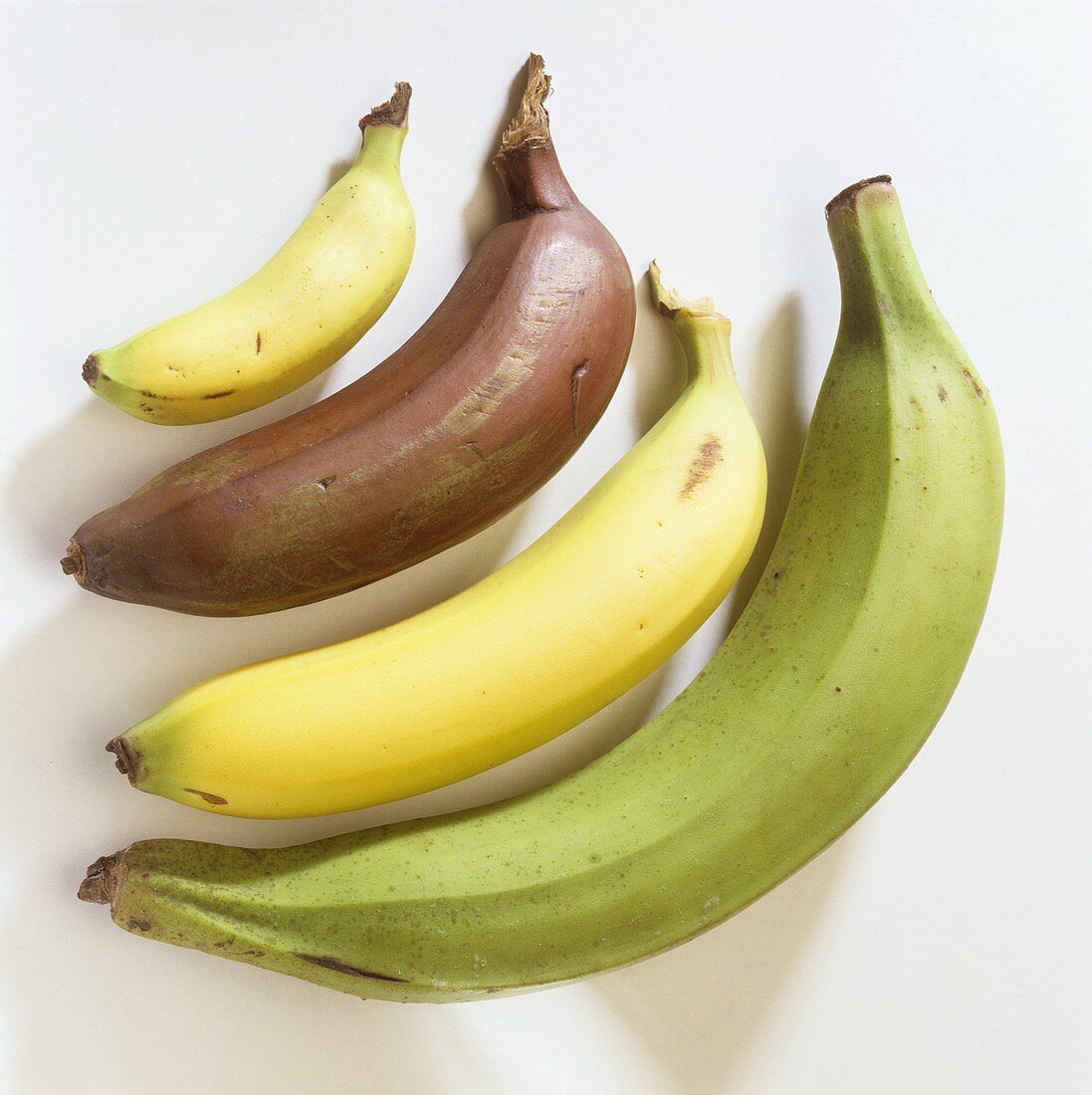 Verschiedene Bananen – Bilder kaufen – 310074 StockFood