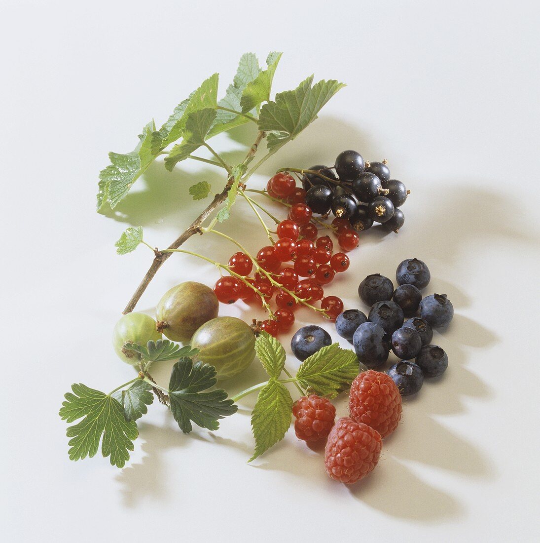 Assorted berries with leaves