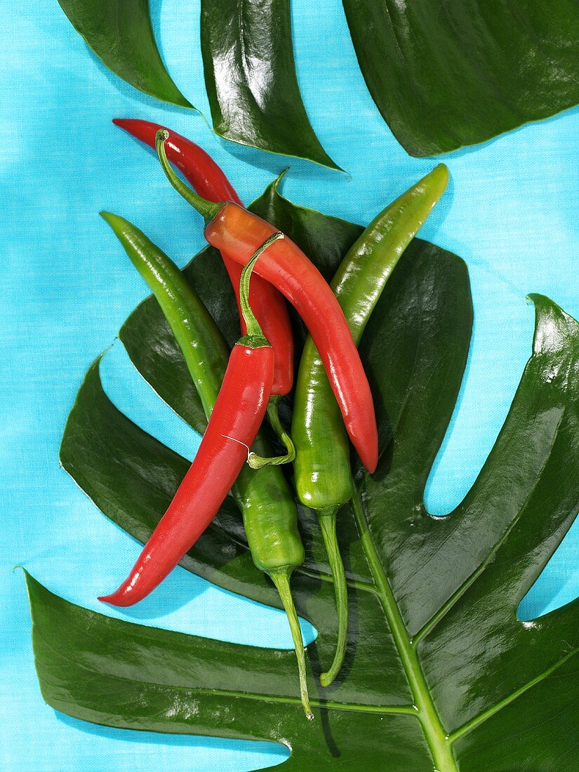 Rote und grüne Chilis
