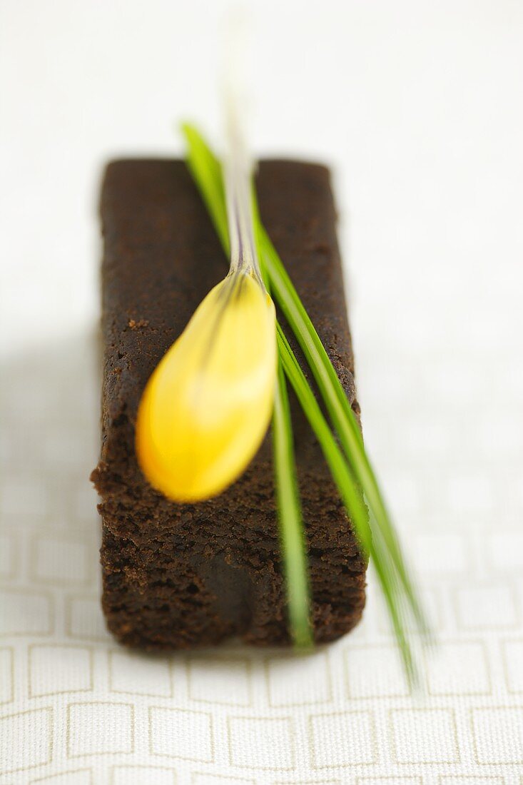Brownie with yellow flower