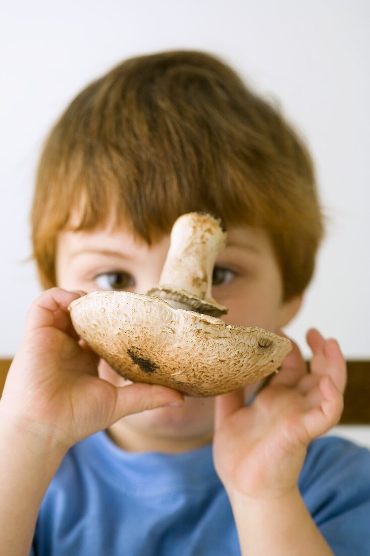 Small boy holding field mushroom in front of his face