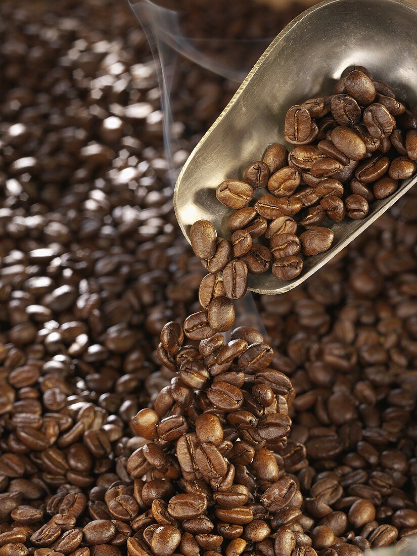 Freshly roasted coffee beans falling out of a scoop