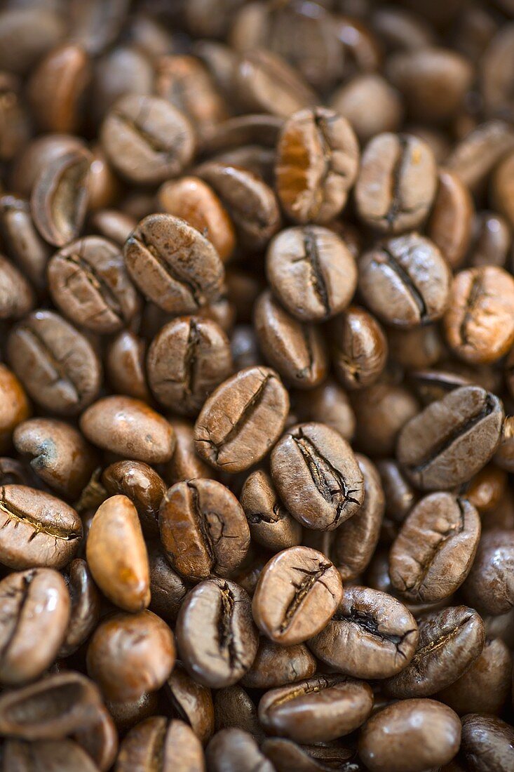 Coffee Beans