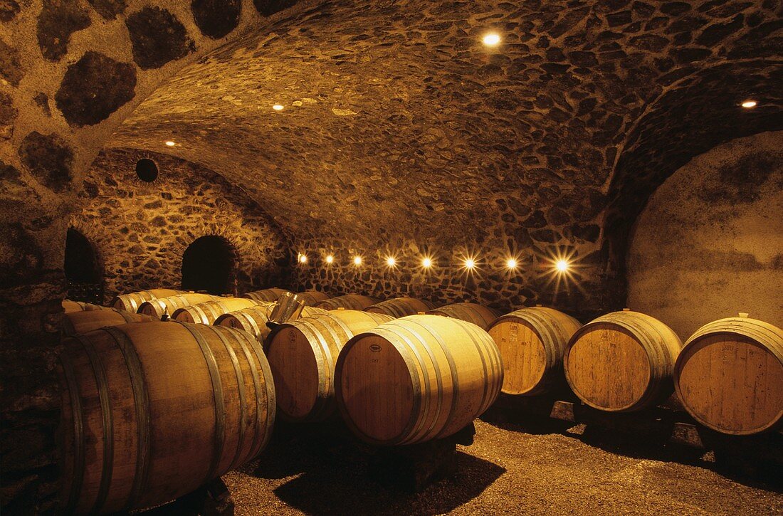 Weinkeller im Château de Pierre-Bise, Loire