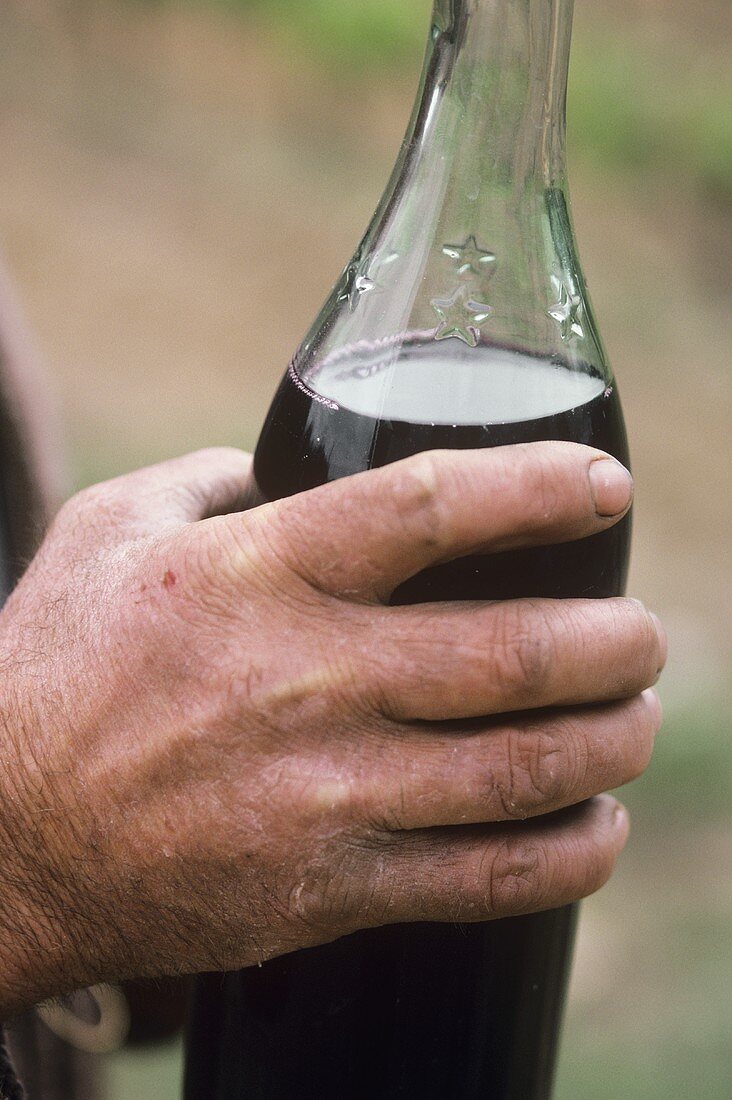 A hand holding a bottle of red wine