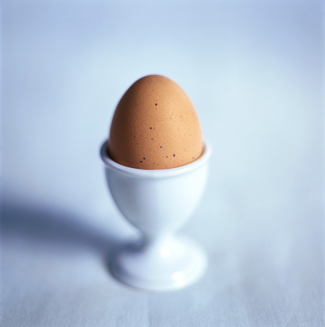 Ein gekochtes Ei im Eierbecher