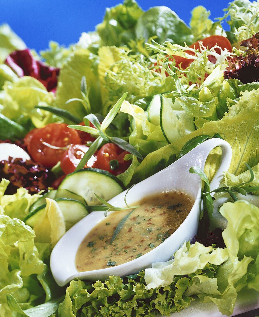 French Dressing mit Estragon umgeben von Salat