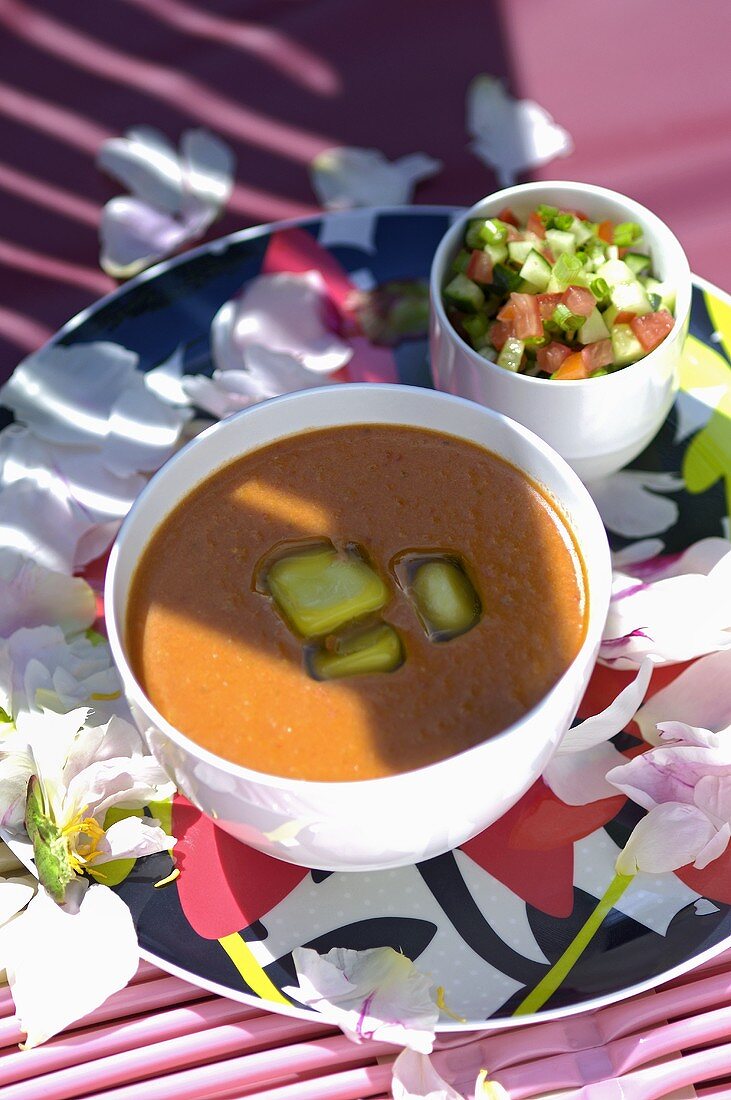 Paprika-Tomaten-Gazpacho