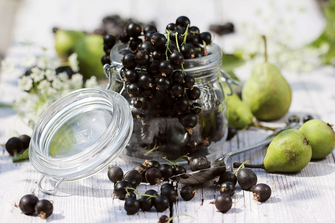 Blackcurrants and pears