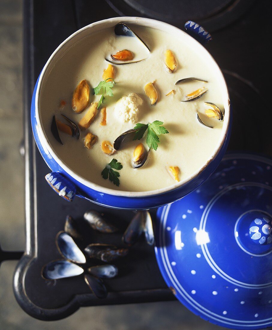 Blumenkohlsuppe mit Muscheln