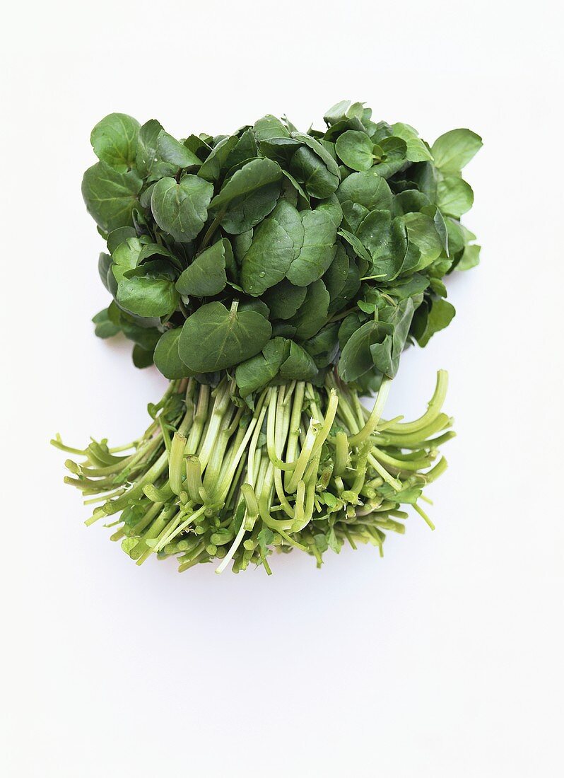 A bunch of watercress