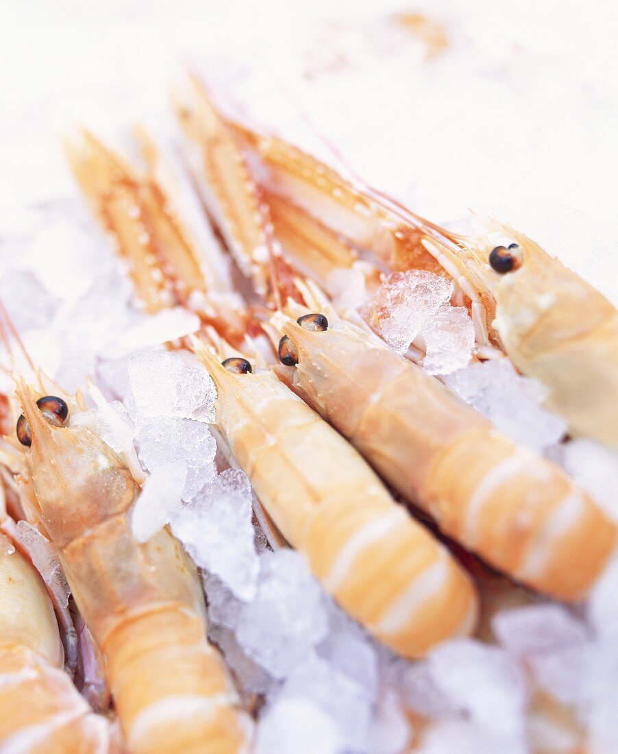 Scampi on ice