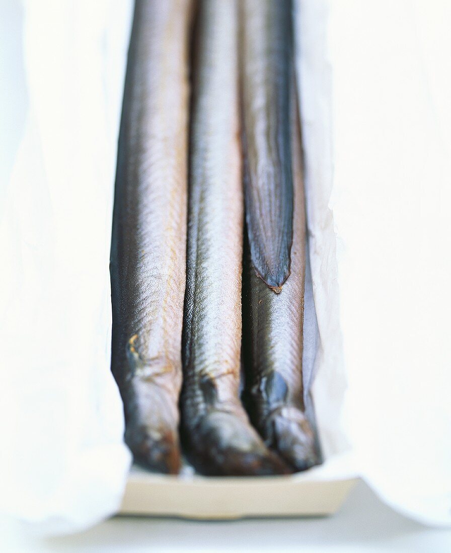 Four smoked eels in a box