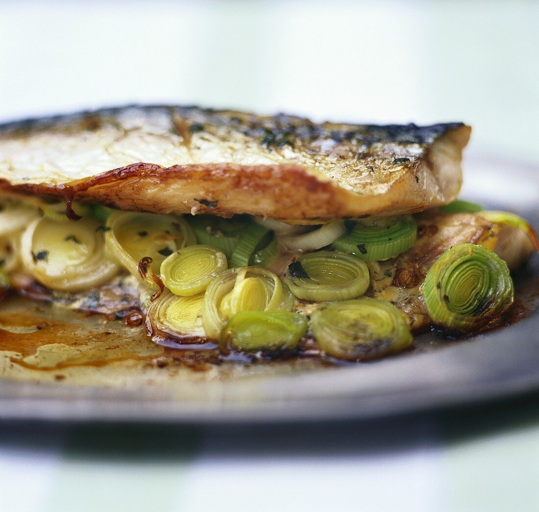 Mackerel fillet with Dijon mustard and leeks