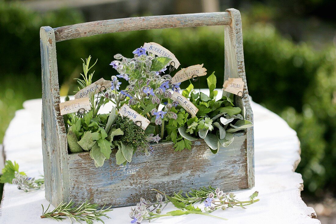 Herbs with labels (German) in a wooden carrier