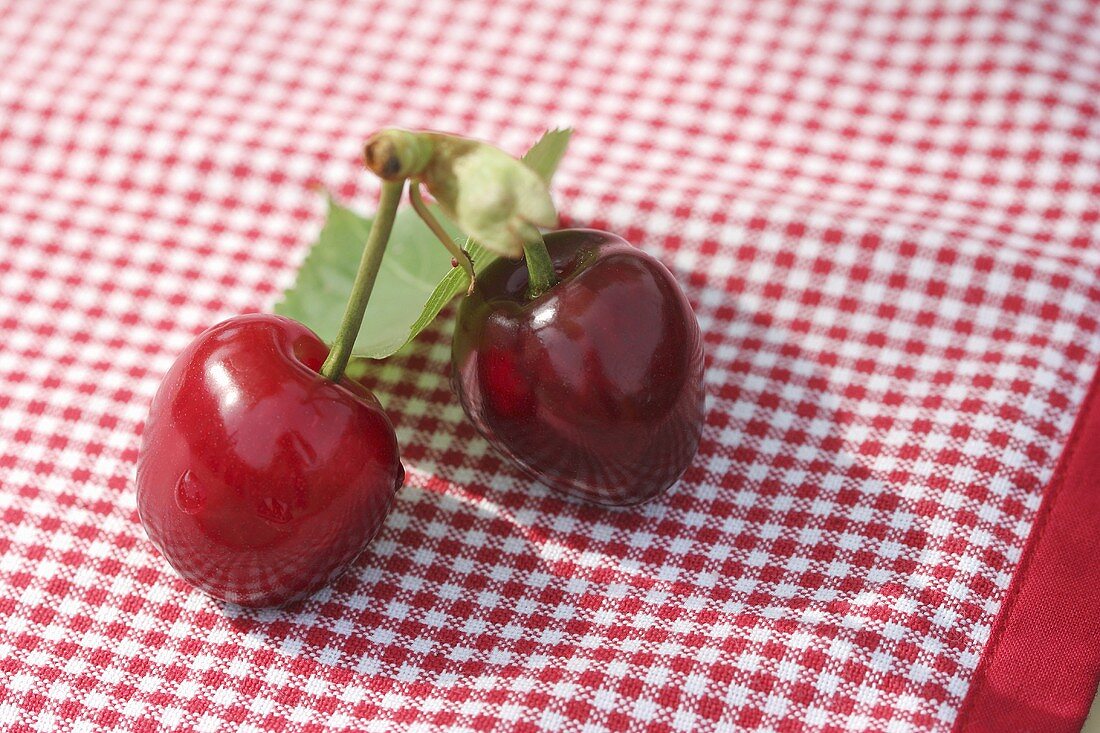 Pair of cherries on a checked cover