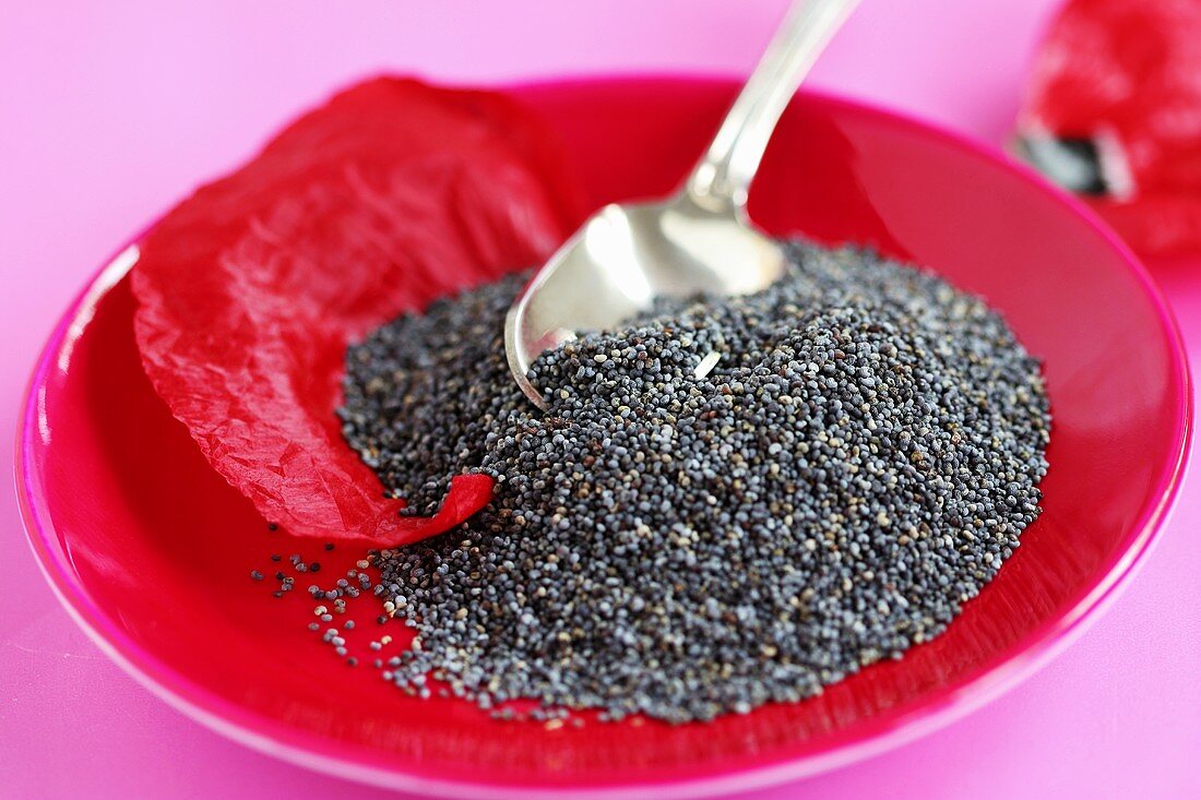 Poppy seeds and spoon on a plate