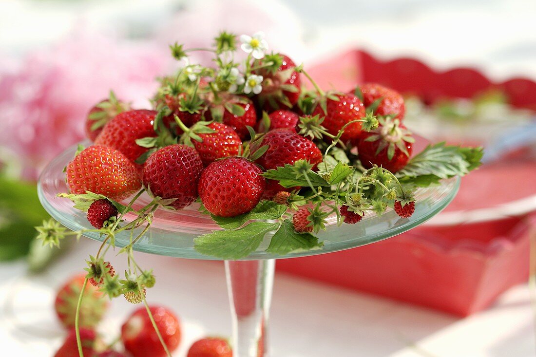 Fresh strawberries and wild strawberries on a cake stand