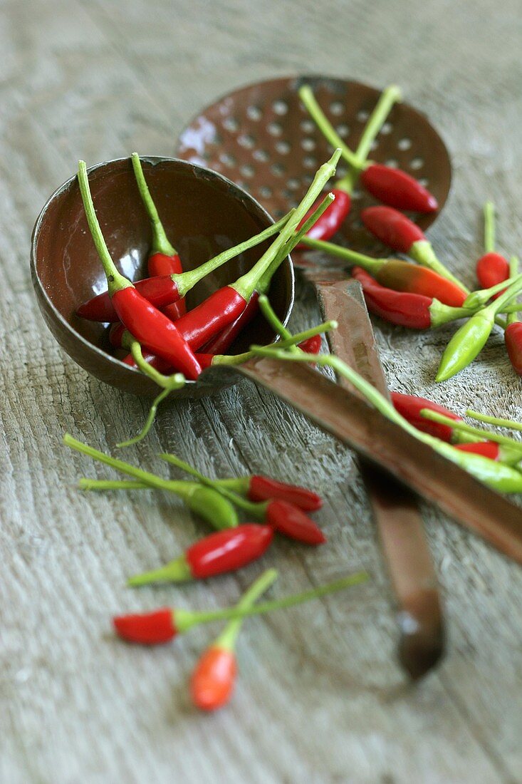 Red chillies with ladle and skimmer