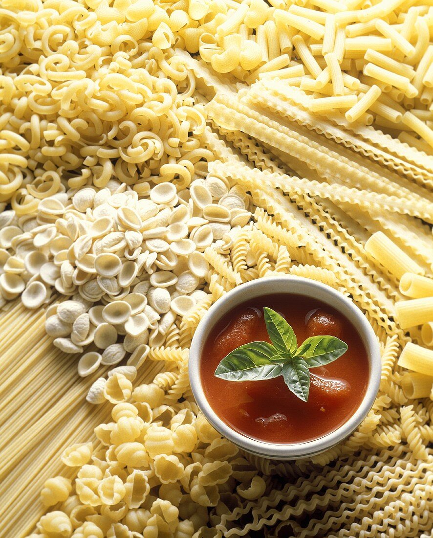 Pasta still life with tomato sauce