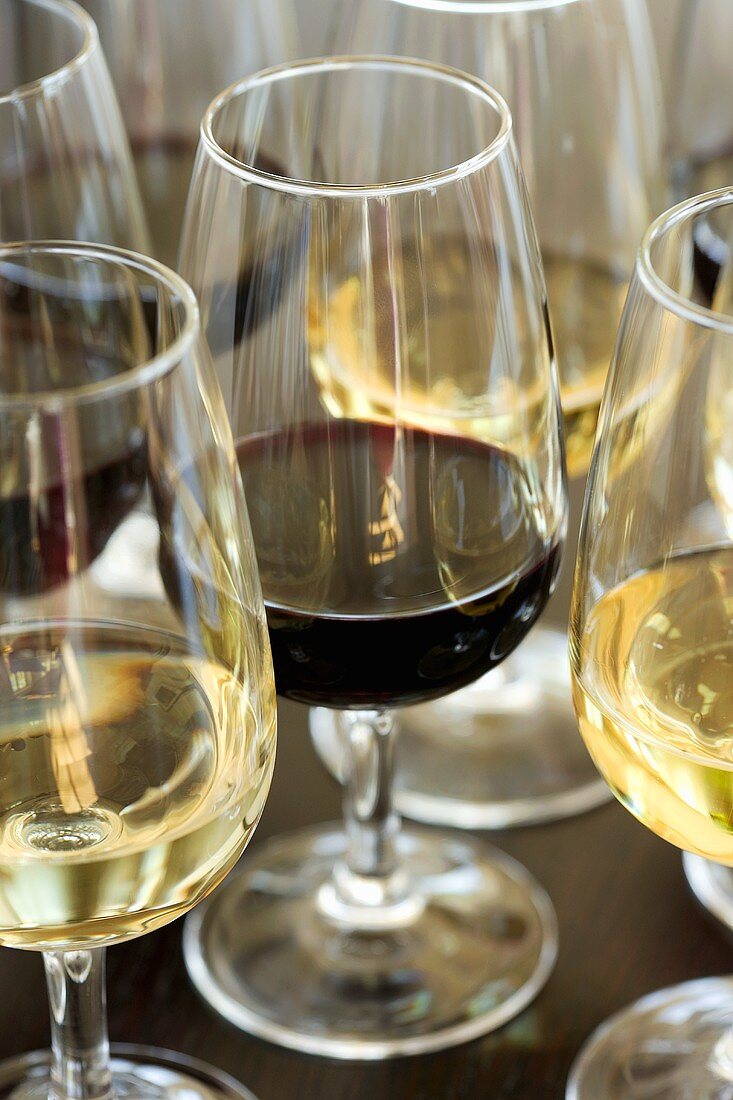 Weißwein und Rotwein in Gläsern