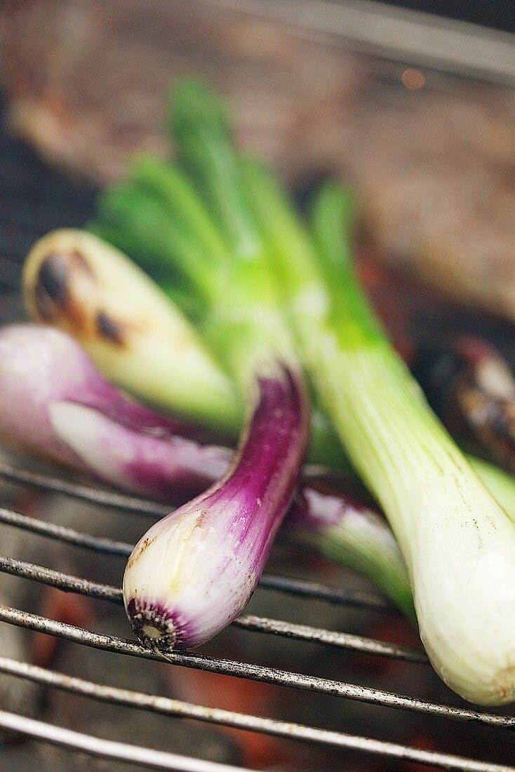 Spring onions on a barbecue